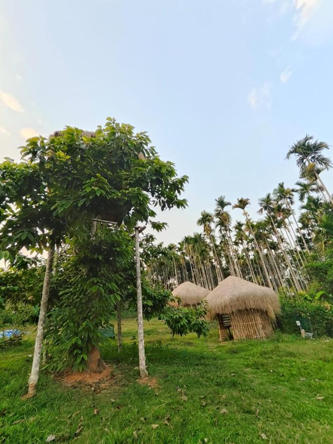Three Roots Holiday Home Resort سلطان بتيري المظهر الخارجي الصورة